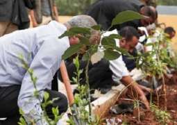 Ethiopians break world record for trees planted in one day