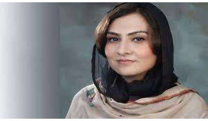 Marvi Memon announces to hold  press conference against Ishaq Dar