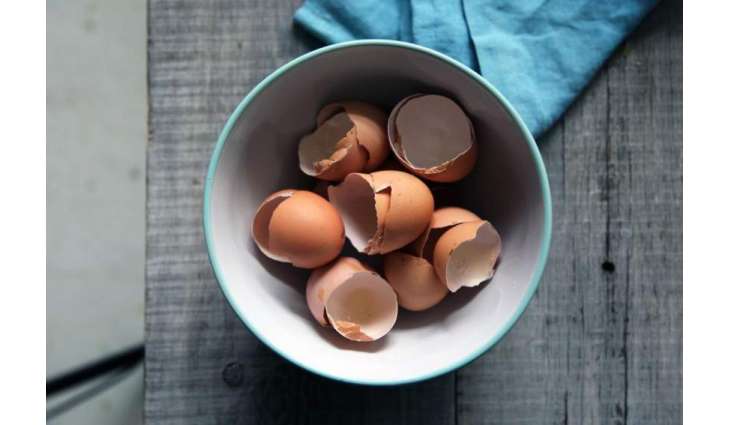 How crushed eggshells could help repair bone damage