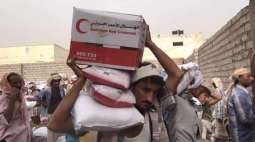 UAE leading donor country for Yemen Humanitarian Response Plan