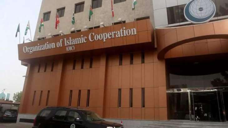 OIC Seeks Formation of Special Envoys Network for Conflict Resolution