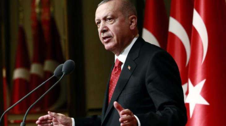 Erdogan Says Turkey, Japan Ready to Mediate Iran-US Conflict