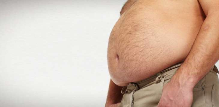 New research may explain why evolution made humans 'fat'