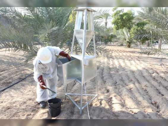 ADAFSA continues implementing palm trees pest control programme in environment-friendly manner