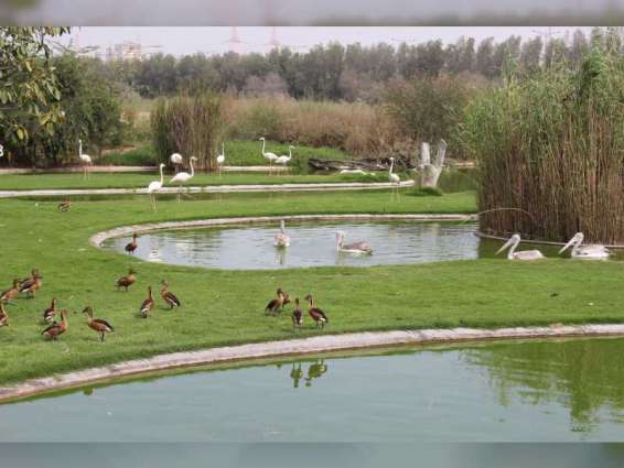 Sharjah's Wasit Nature Reserve recognised as ‘Wetland of International Importance’