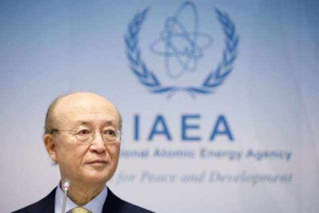 President Putin Mourns Passing of IAEA's Director General - Kremlin