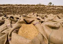 Sudan to receive 540,000 tonnes of wheat: ADFD