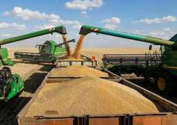 Saudi Arabia, UAE to Deliver 540,000 Tonnes of Wheat to Sudan - Reports