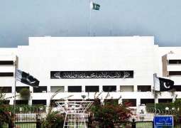Senate's body slams India on illegal action in occupied Kashmir