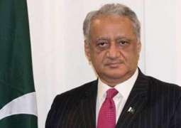 Pakistani Ambassador in Russia Confirms UNSC to Hold Meeting on Jammu and Kashmir Friday