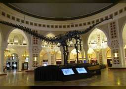 "الإمارات للمزادات" ينظم مزادا لبيع هيكل الديناصورات العملاق في دبي 