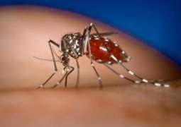 Russian Foreign Ministry Warns Russian Travelers of Dengue Fever Outbreak in Costa Rica