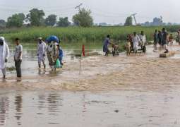 Water level in Sutlej rises up to 20ft at Ganda Singhwala in Kasur