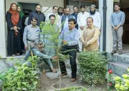 VC Prof Pasha plant sapling to promote greenery at UVAS under PM National Plantation Campaign
