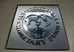 International Monetary Fund Says Assessing Argentina's Debt Operation Suggestions