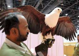 UAE Press: Adihex is a showcase of a more traditional existence