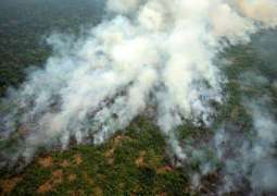Macron Wants to Help Brazil Put Out Fires, But May Need to Learn More About Rainforest