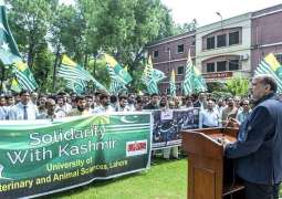 UVAS organised Rally’s in all campuses to demonstrate solidarity with people of occupied Kashmir