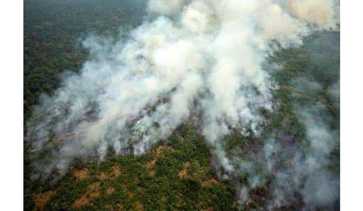  Macron Wants to Help Brazil Put Out Fires, But May Need to Learn More About Rainforest