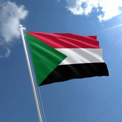 Sudan's Constitutional Declaration Contains Most of 'Revolutionary Demands' - Opposition
