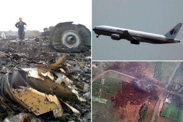 Lawyer of MH17 Victims' Relatives Says Invited German Detective Resch to Testify at ECHR