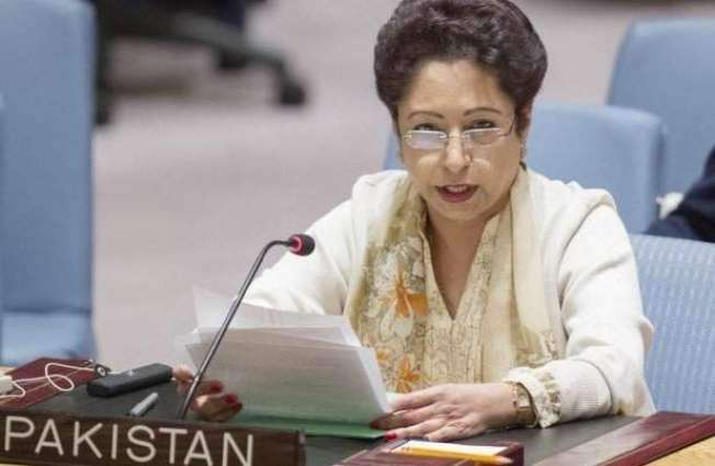 Question arises if India wants to sabotage Afghan peace process: Maleeha Lodhi