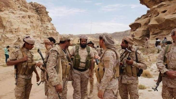 Yemeni National Army seizes new areas in Sa'ada