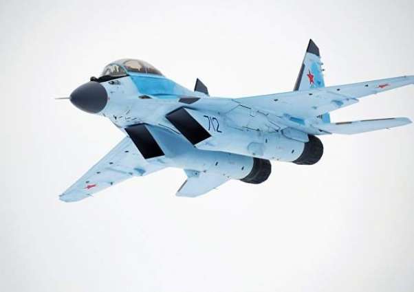 Bird Strike Behind Azerbaijan's MiG-29 Fighter July Crash - Defense Ministry