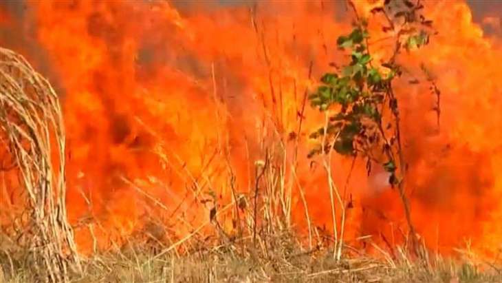 Brazil environment minister heckled over Amazon fires
