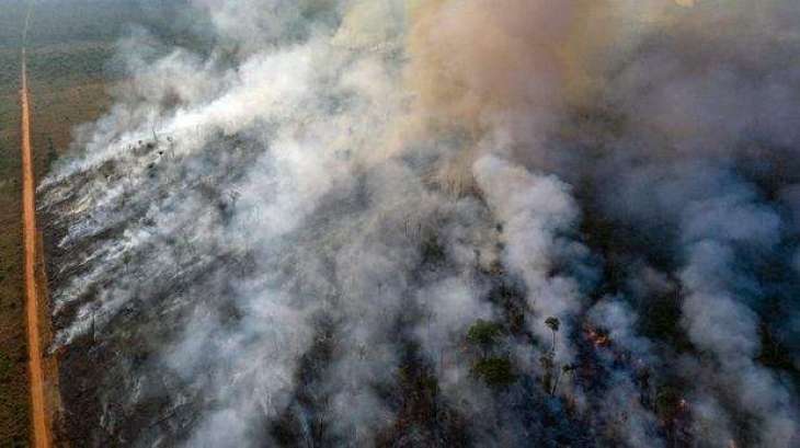 Brazil's Bolsonaro Temporarily Bans Controlled Burning in Amazon Forest
