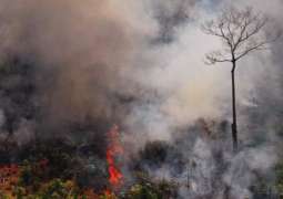 Colombian President Pledges to Plant 180Mln Trees in Wildfires-Hit Amazon