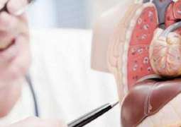 Gut bacteria may damage liver by turning carbs into alcohol