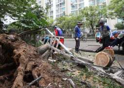 Nearly 30 People Injured in South Korea Due to Tapah Typhoon - Reports
