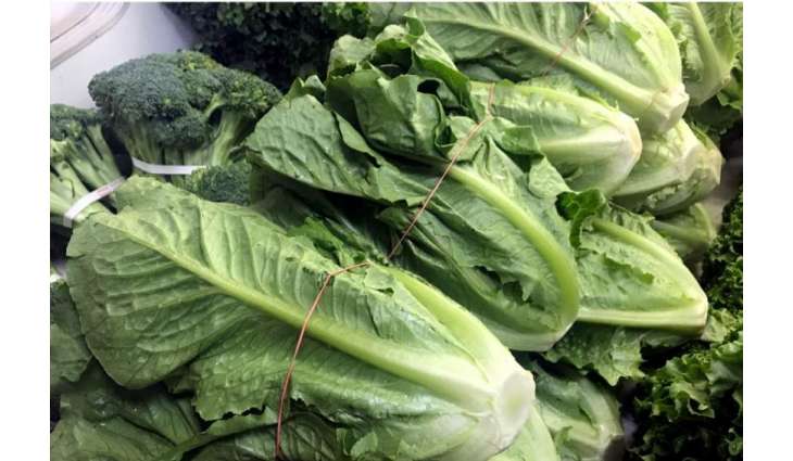 A journey from vegetable vendor to  tea  tycoon comes under  NAB  ruthless investigation