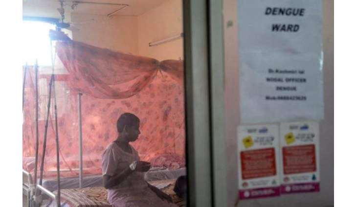 Dengue outbreak claims four more lives in Punjab, Sindh