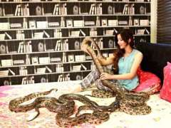 Court issues bailable arrest  warrants of Rabi Pirzada in the case for keeping  exotic animals