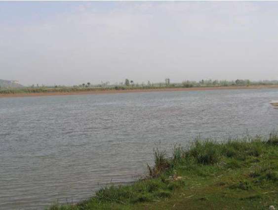 11 years old boy drowned, dies in Sutlej river