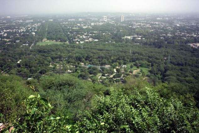 Wild growth, vegetation to be cleared from federal Capital