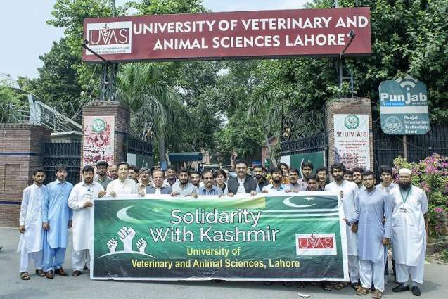 UVAS holds walk to mark Defense Day of Pakistan& express solidarity with peoples of Kashmir