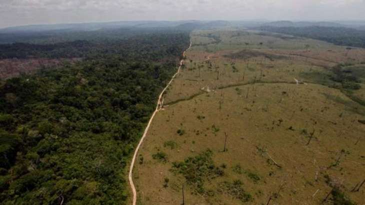 Brazil to Allocate Part of Returned Corrupt Funds to Preserve Amazon Rainforest - Reports