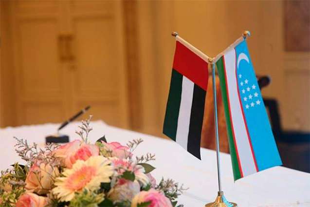 UAE presents government work experience in Uzbekistan