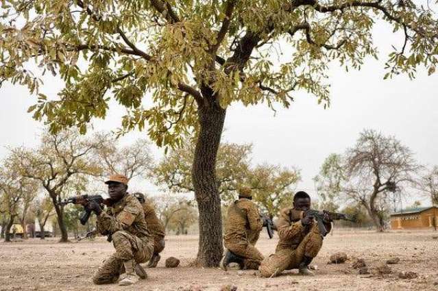 Niger Seeks Russia's Help in Fighting Terrorism - Foreign Minister