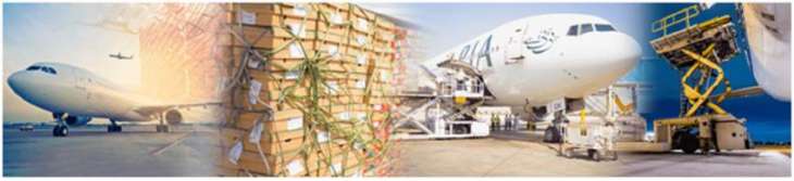 PIA Revives its Cargo in Leaps and Bounds