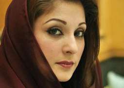 Jail cell of Maryam Nawaz infested with bedbugs, mosquitoes : Dr Adnan