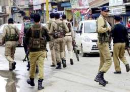 Over 10 People Injured in Grenade Attack in Kashmir - Indian Police