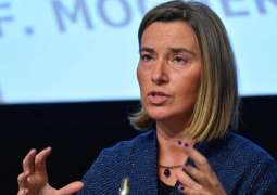 Turkish Operation in Syria Threatens EU Accession Talks - EU Spokeswoman