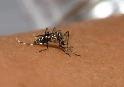 All resources being utilized for eradication of dengue fever: Dr Zafar