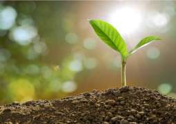 Planting a Greener Future initiative launched
