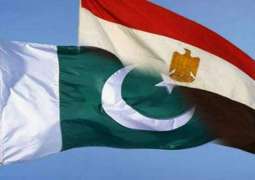 Egypt keen to invest $1bn in Pakistan
