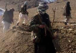 About 8,000 Militants Threaten Afghan-Tajik Border Security - CIS Official